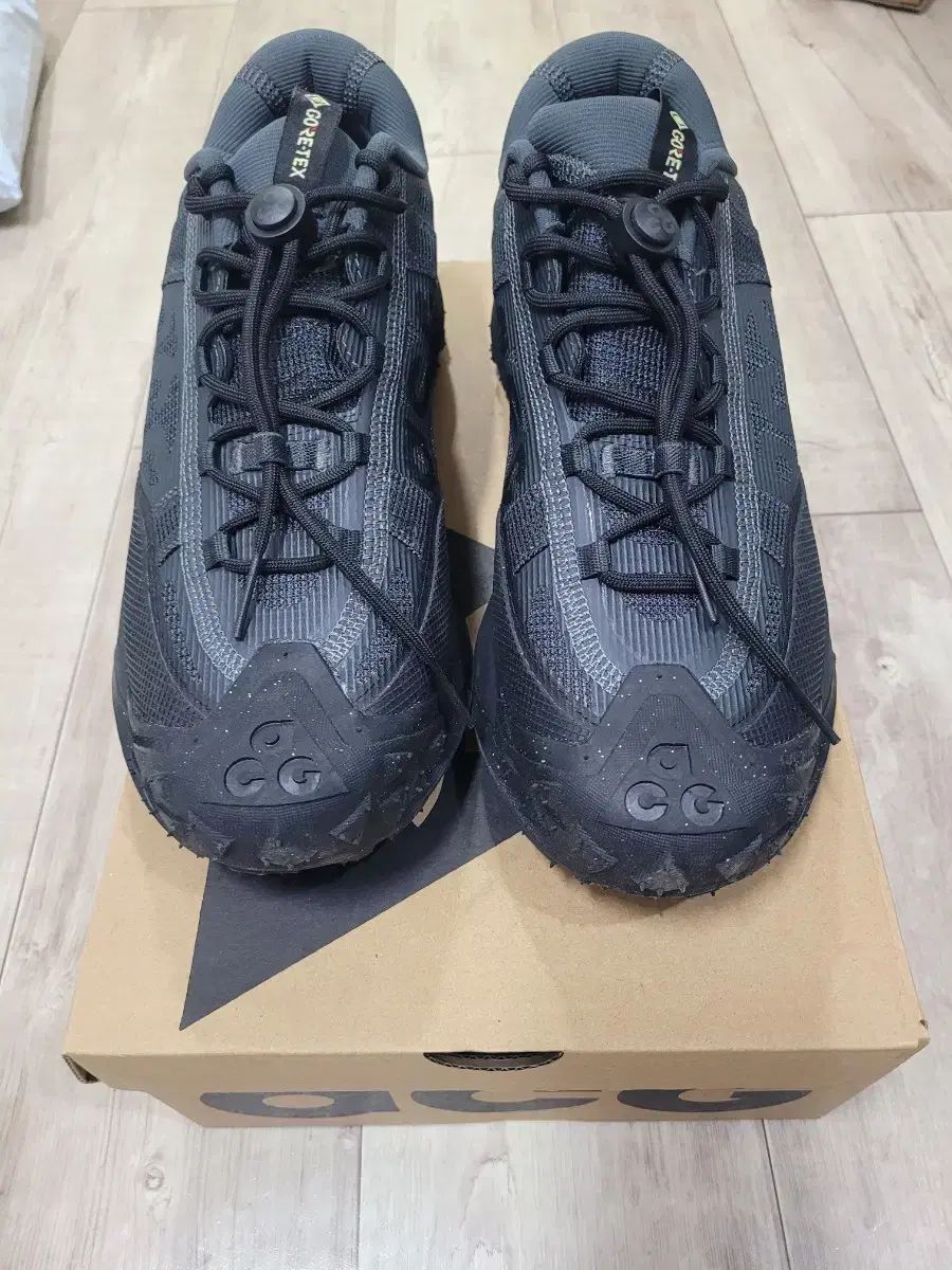 ナイキ ACG スニーカー 270 黒