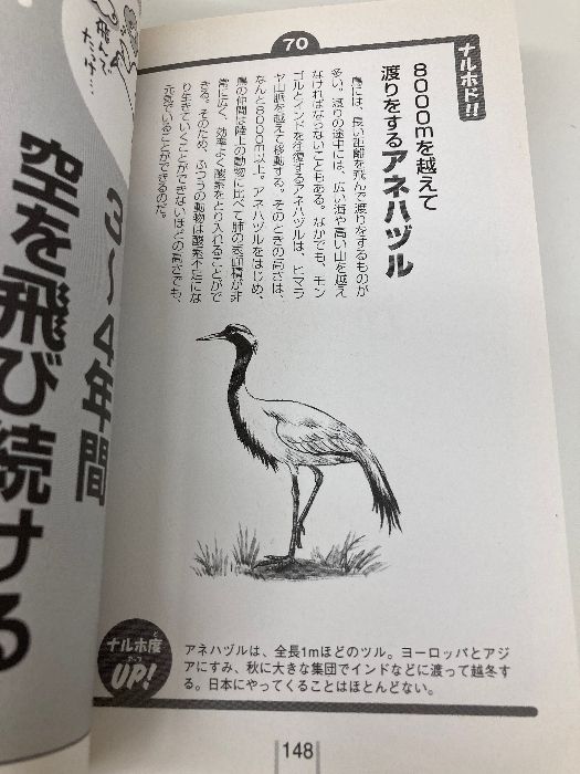 ためにならないけど自慢できる雑学ブック 「アニマル」編 主婦と生活社 面白自然学会 主婦と ためにならないけど自慢できる雑学ブック「アニマル」編 - ホーム社(集英社グループ) ノー・アニマルズ [角川