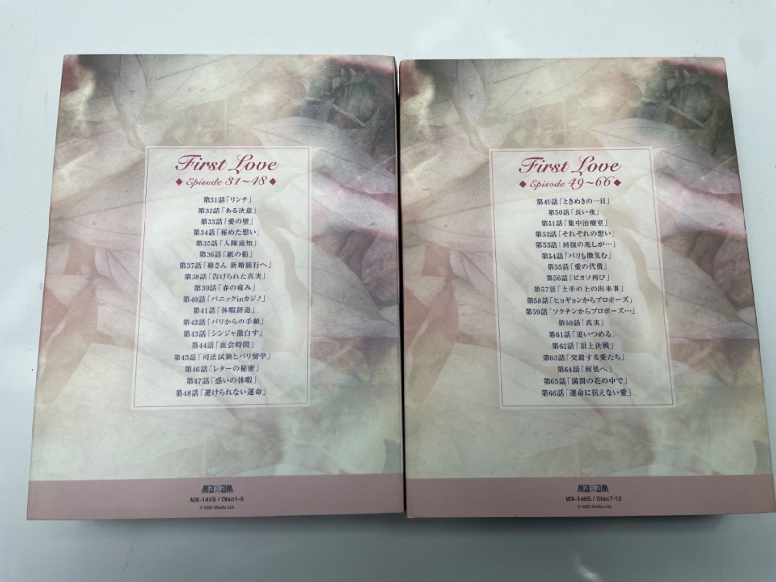 冬ソナ」ぺ・ヨンジュン主演 【初恋 First love DVD-BOX ⑴ ⑵