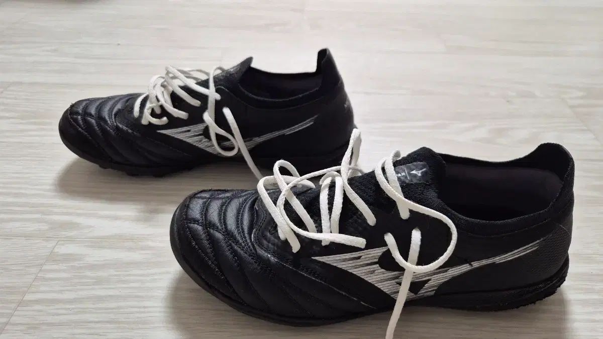 ミズノ サラベータ ジャパン 240