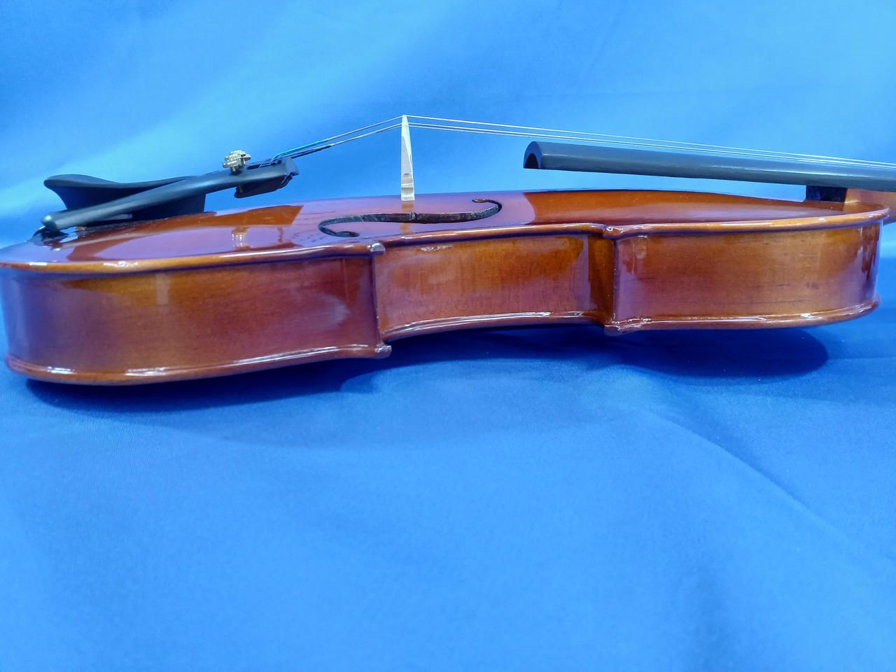  STENTOR ヴァイオリン STUDENTS ST Violin バイオリン本体 バイオリン