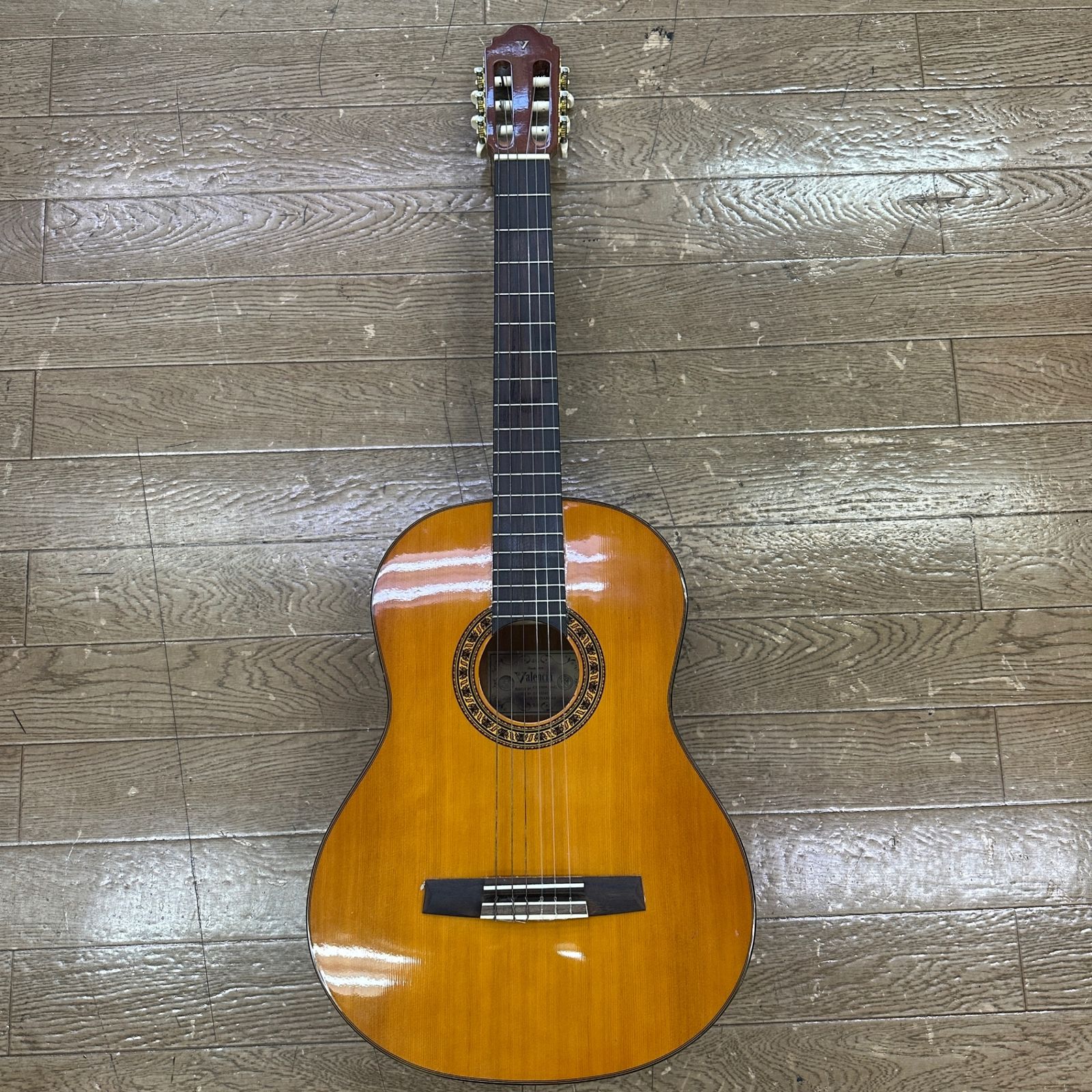 Valencia CG 190 W BAG アコースティックギター