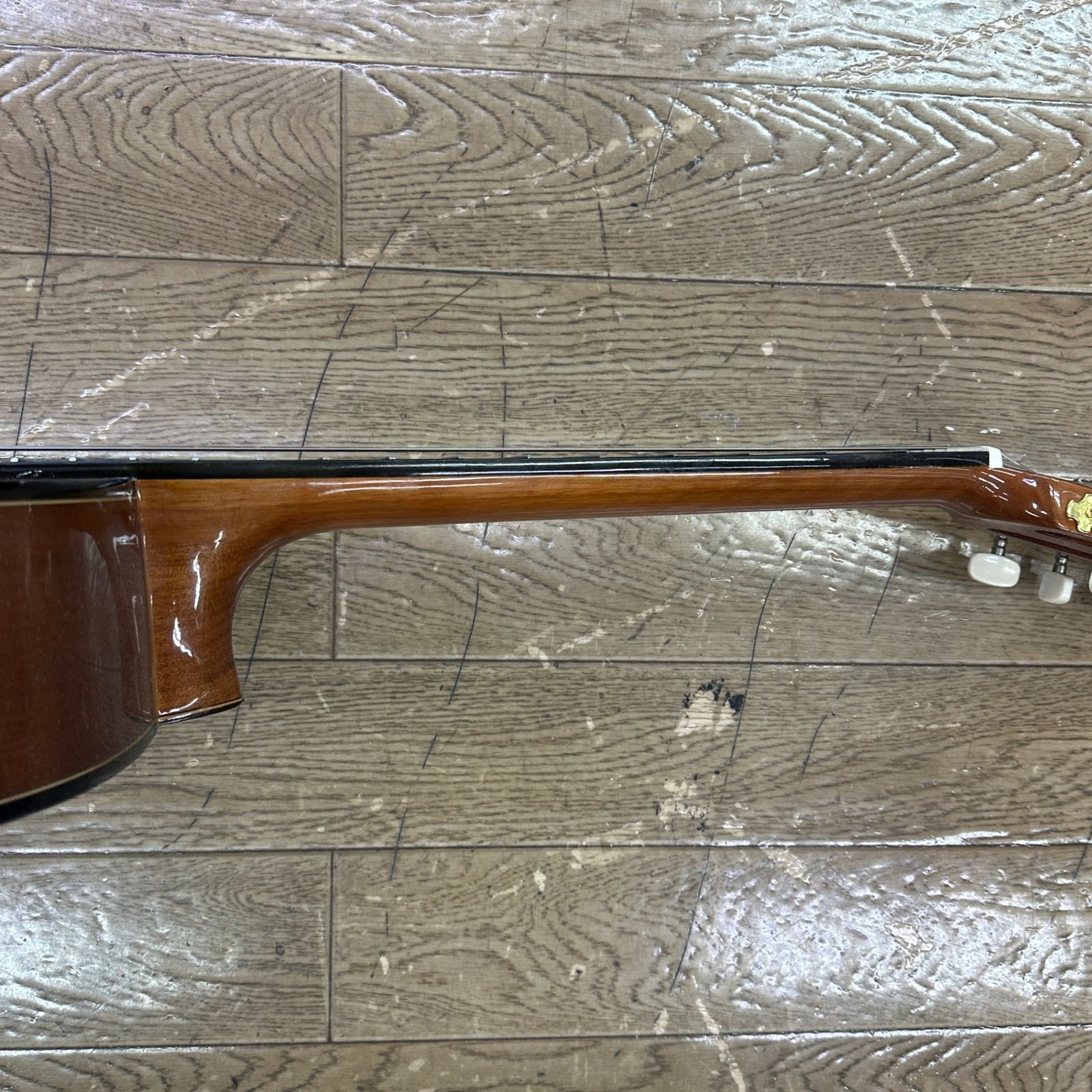  Valencia CG 190 W BAG アコースティックギター アコースティックギター ギター