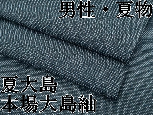 上 男性 夏物 本場大島紬 夏大島 ９マルキ s 6