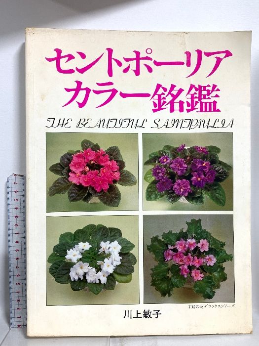 セントポーリア 銘館 主婦の友 シリーズ 主婦の友社 川上敏子