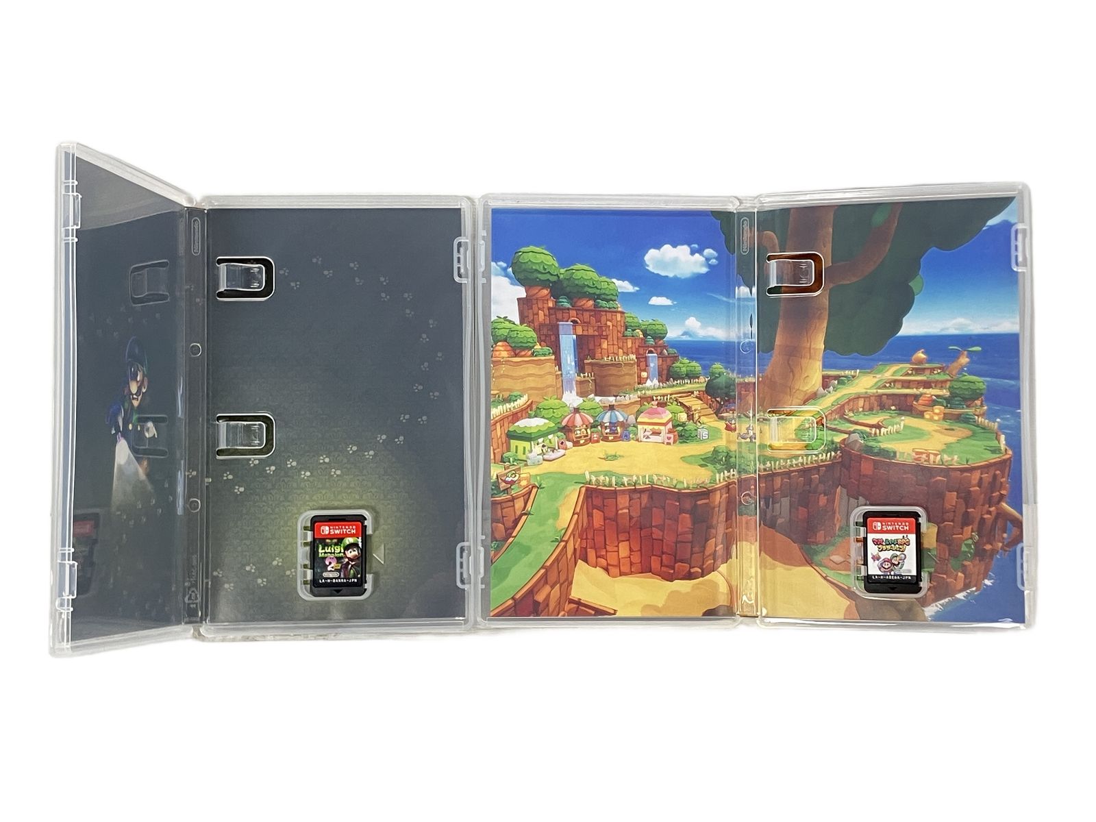 Nintendo Switch ルイージマンション2HD マリオ&ルイージRPG ブラザー