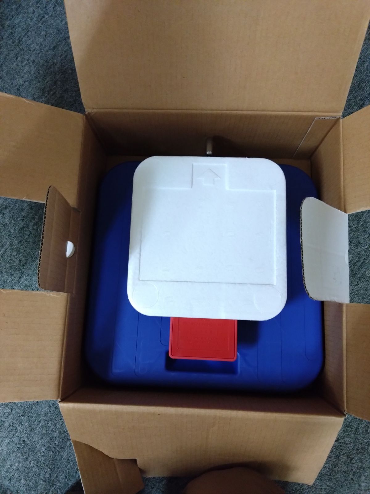  バック-D デジタル背筋力計 ほぼ 体育器具 用品 スポーツ