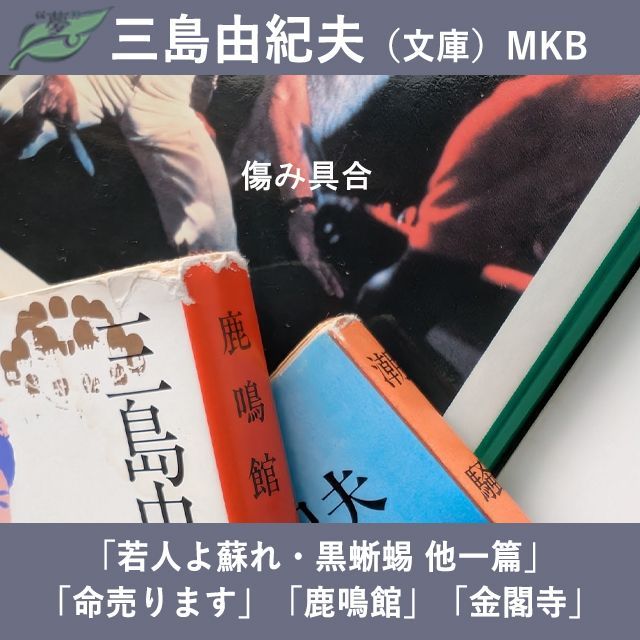 三島由紀夫 若人よ蘇れ 黒蜥蜴 美徳のよろめき 鹿鳴館 潮騒 文庫