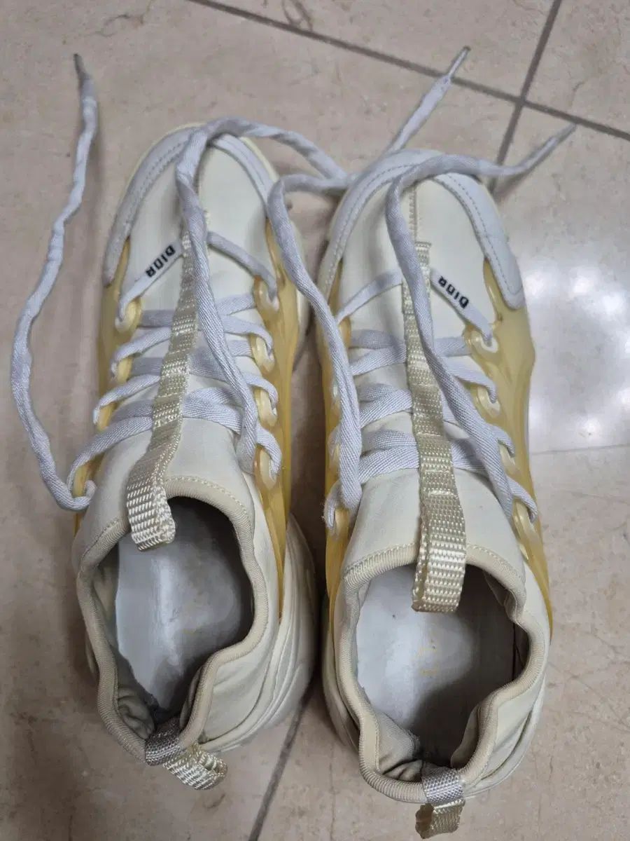 ディオール ディコネクト