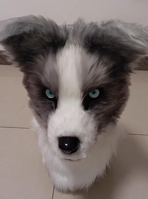 着ぐるみヘッド 犬 NO.467 リアルスタイル 全頭ヘッド ケモノ ファースーツ ぬいぐるみ コスプレ コスチューム kigurumi