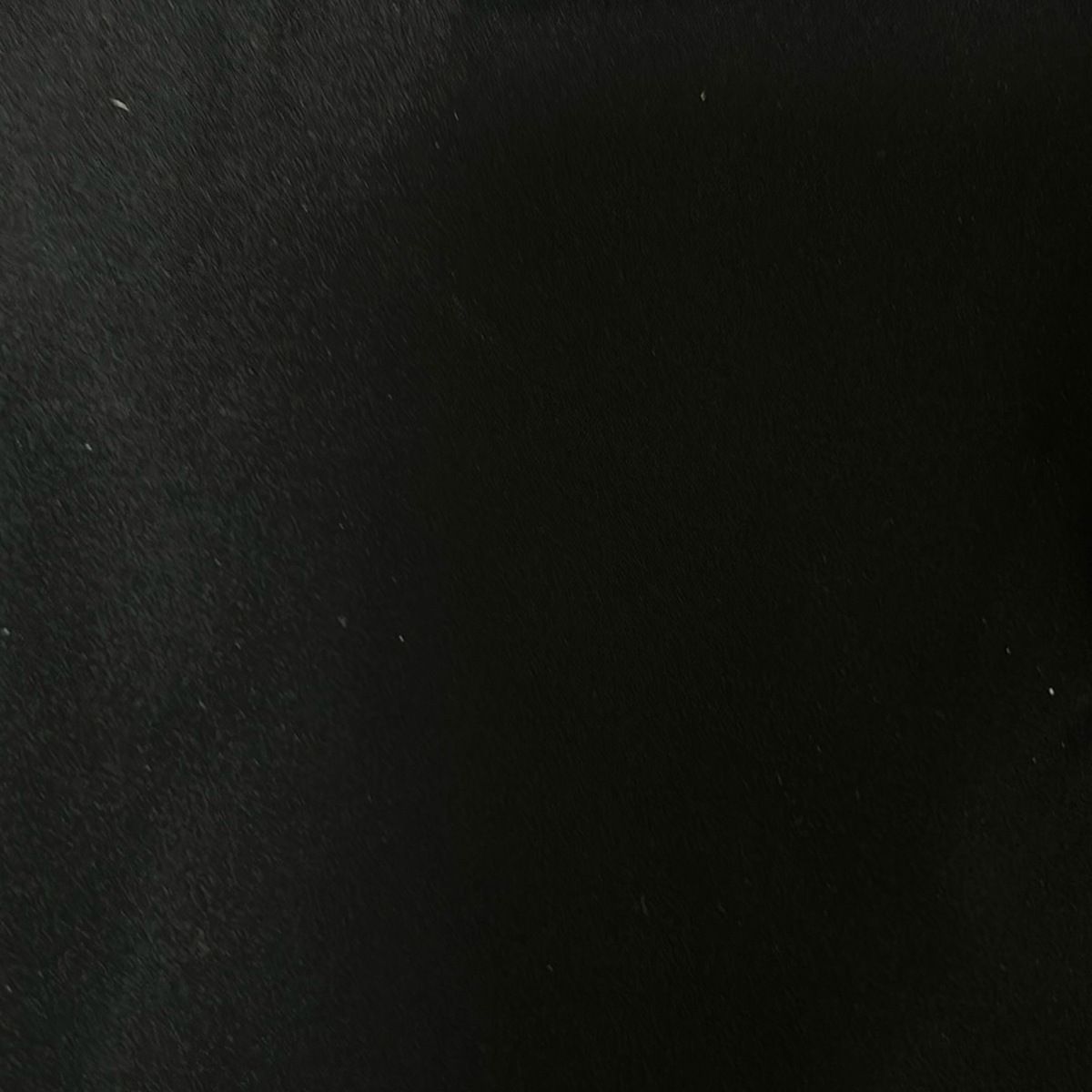 FOXEY NEW YORK(フォクシーニューヨーク) スカート サイズ40 M