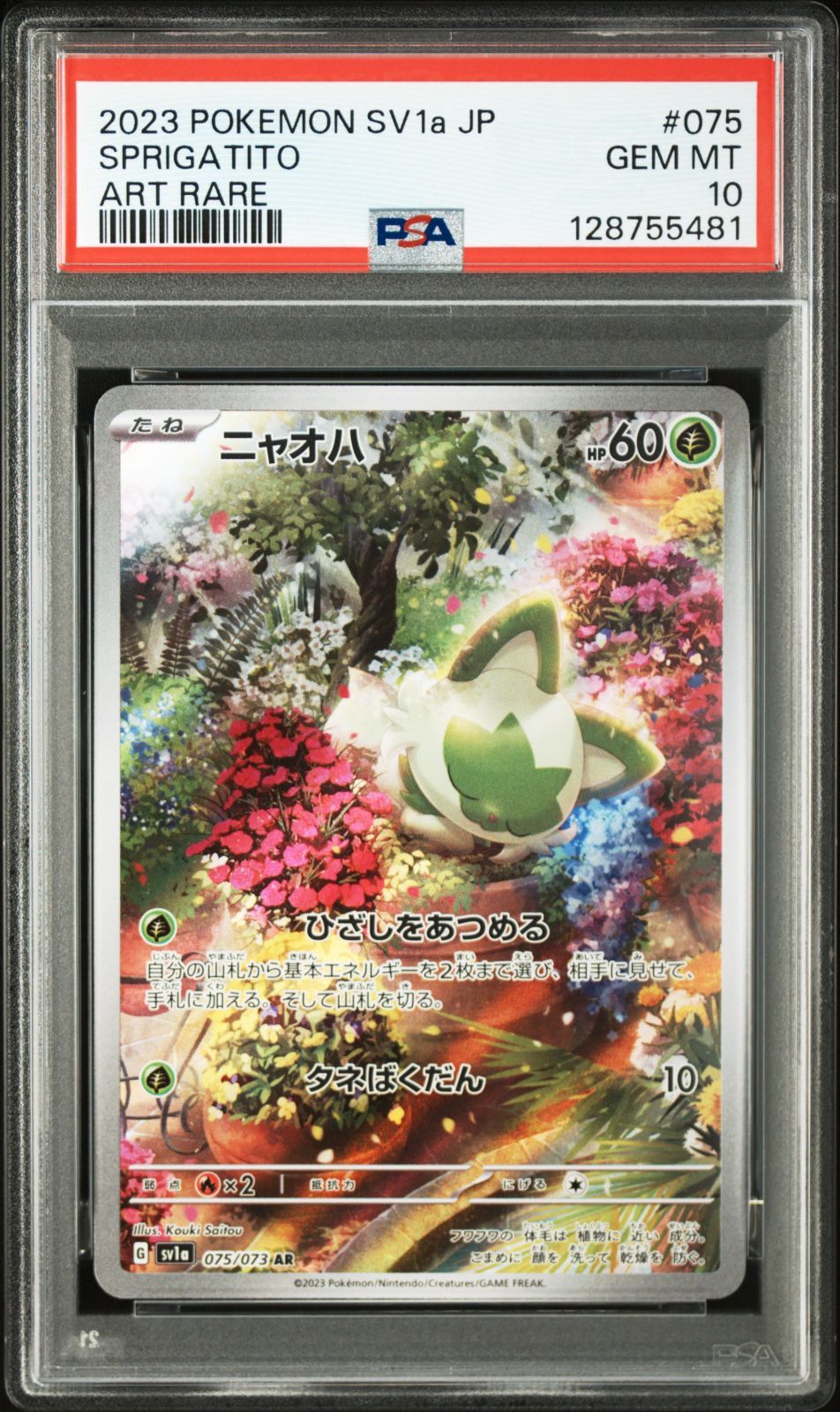 PSA10 ニャオハ&ニャローテ 075/073 076/073 連番セット SV1a PSA10 ニャオハ&ニャローテ 075/073 076/073 連番セット SV1a