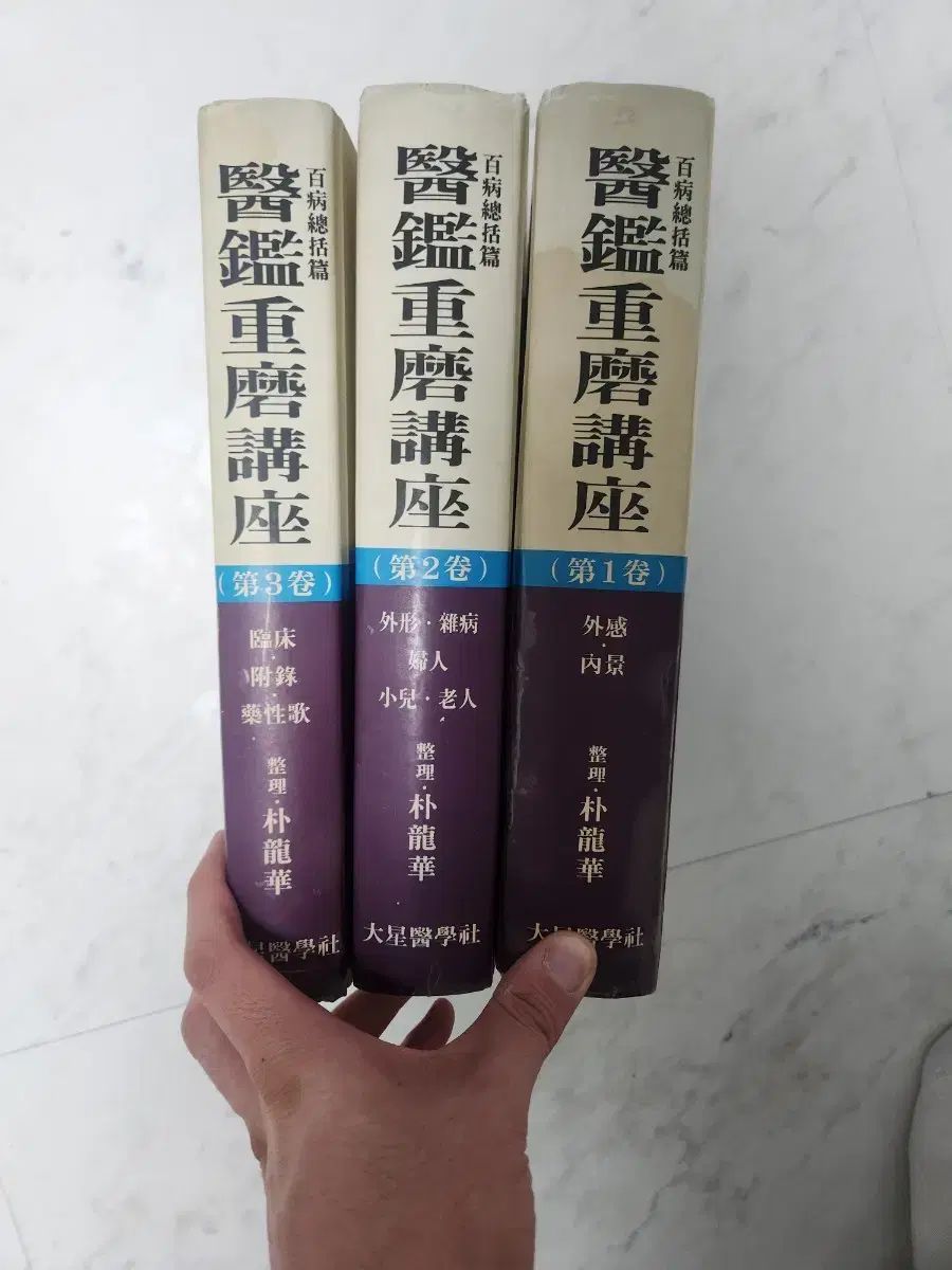[年末大感謝祭東京土産編激安!!]富貴蘭　緑彩宝(自然作り品) 年末大感謝祭東京土産編激安!!]富貴蘭 緑彩宝(自然作り品)