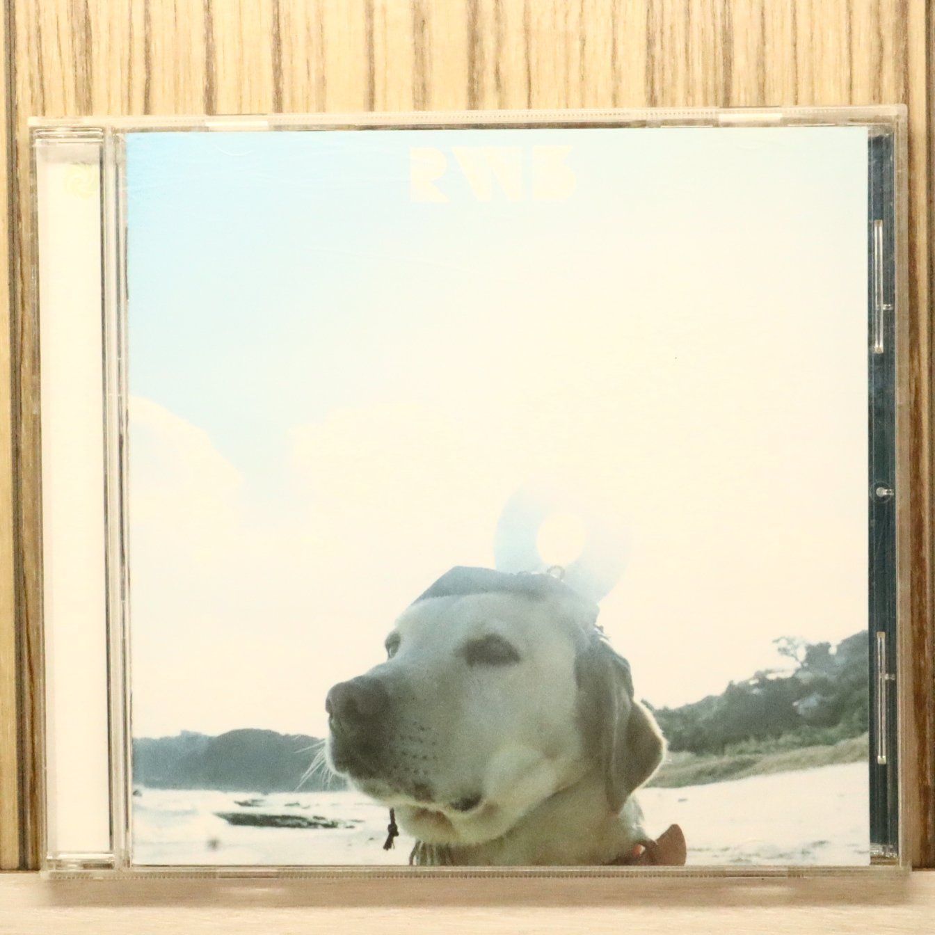 国内盤CD☆ラッドウィンプス/RADWIMPS□ RADWIMPS3~無人島に持っていき