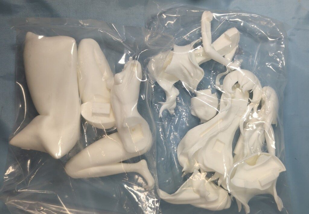 niwatumuri 1 7スケール組立キット 原型 aobeko PA 15 pajama ver