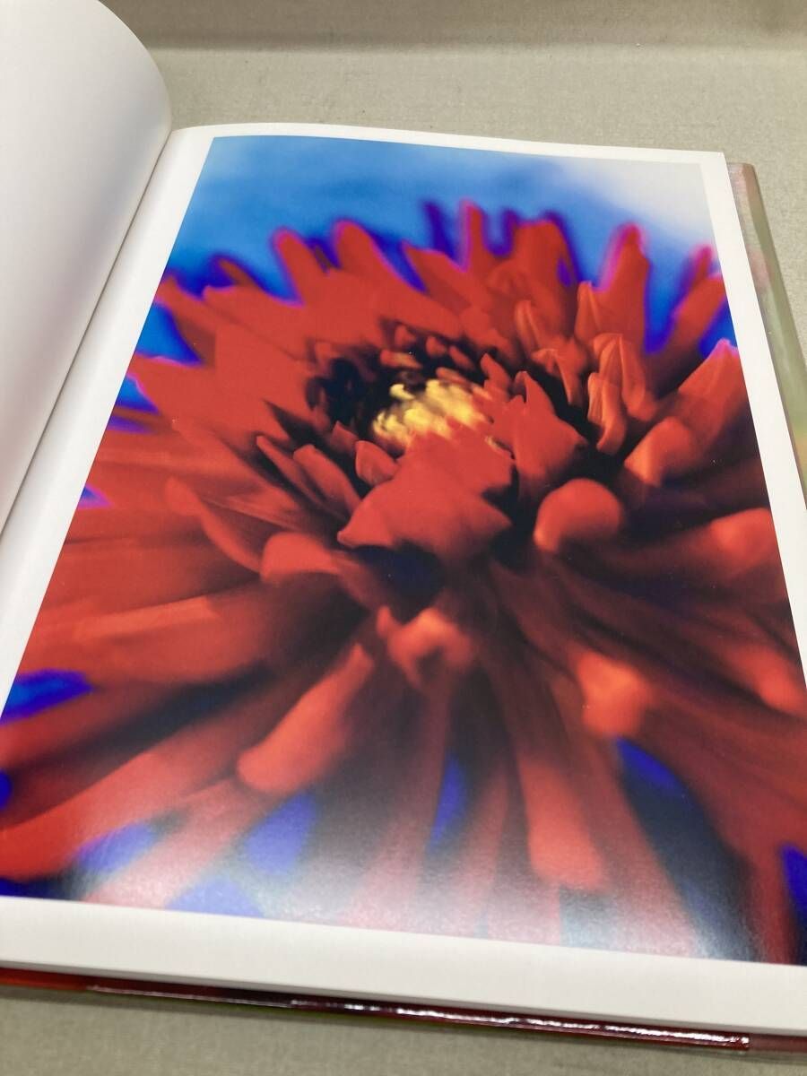 蜷川実花 写真集 アシッド・ブルーム 状態：良 - メルカリ