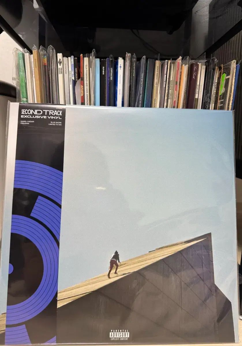 ダニエル DANIELLE シーザー Freudian ブルーショア 盤 LP