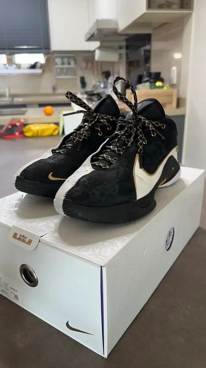 NIKE ナイキ レブロン 22 バスケシューズ