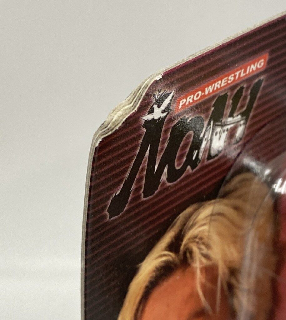 高山善廣　大森隆男　フィギュア ノーフィアー高山善廣、大森隆男フィギュア - メルカリ