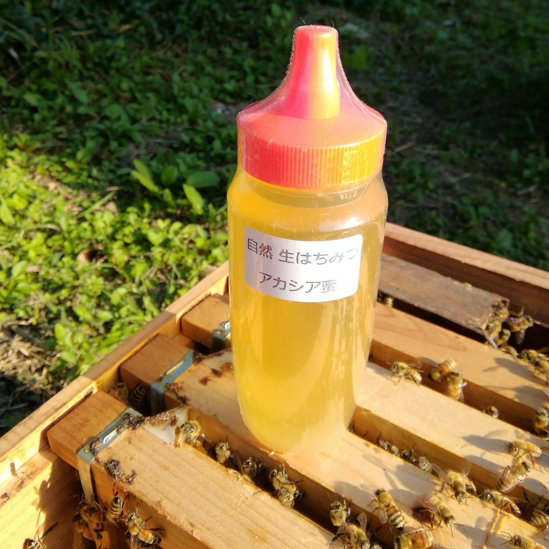⭐アカシア蜂蜜2本&れんげ蜜2本 国産 生はちみつ 非加熱ハチミツ