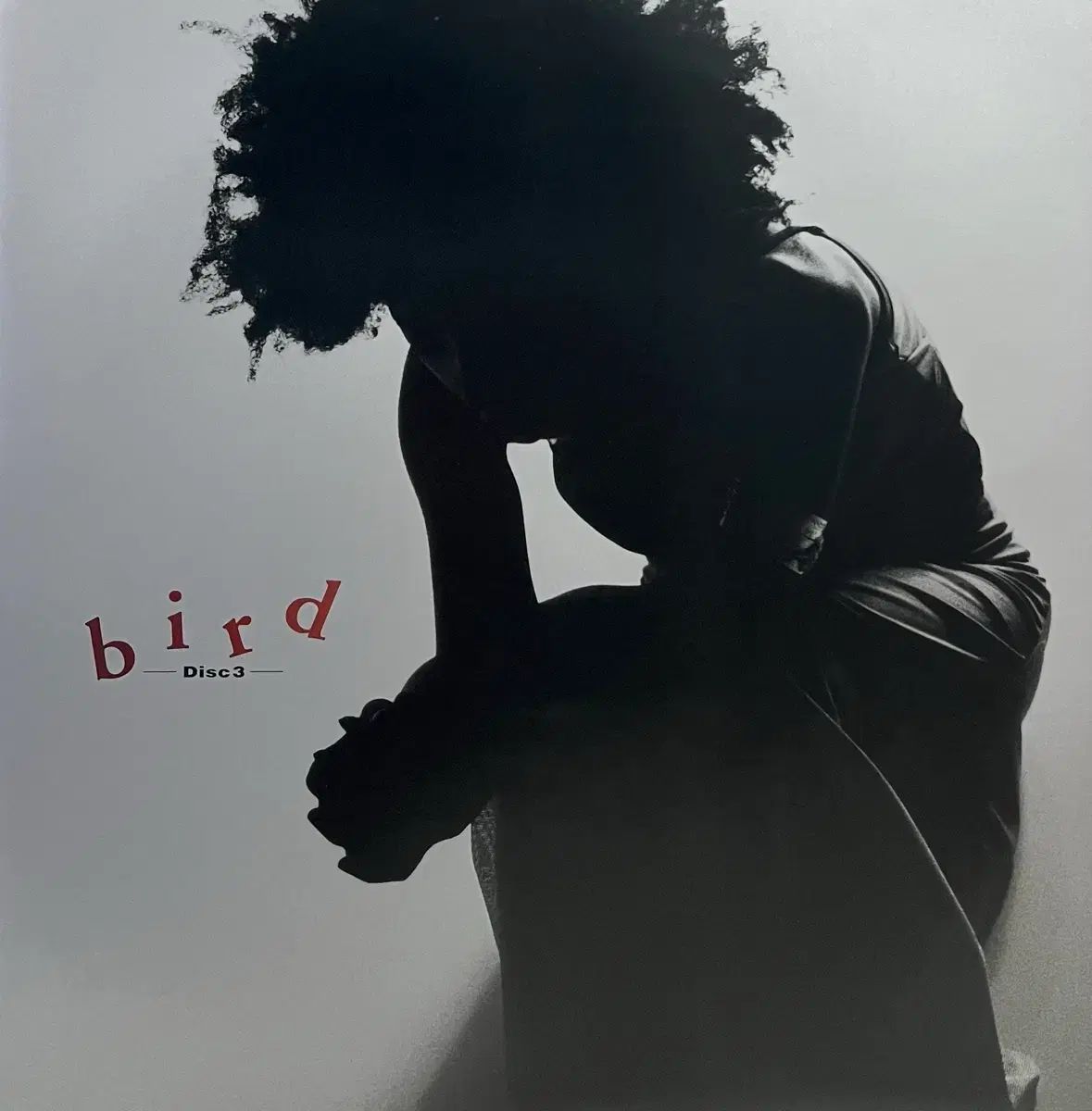  渋谷渓 BIRD ー Lp Box その他 楽器 機材