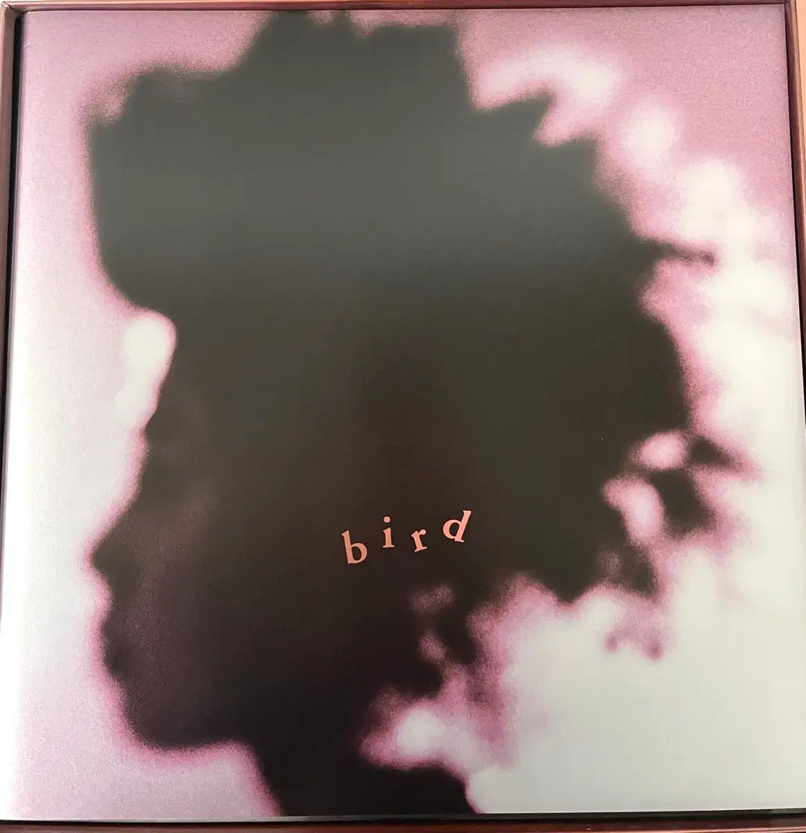 BIRD ー