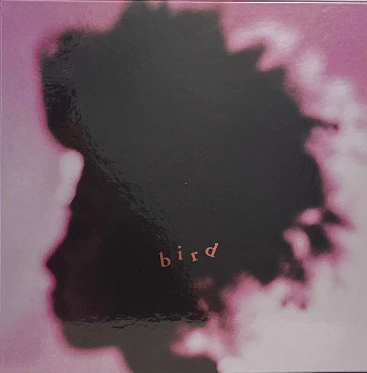 渋谷渓 BIRD ー Lp Box