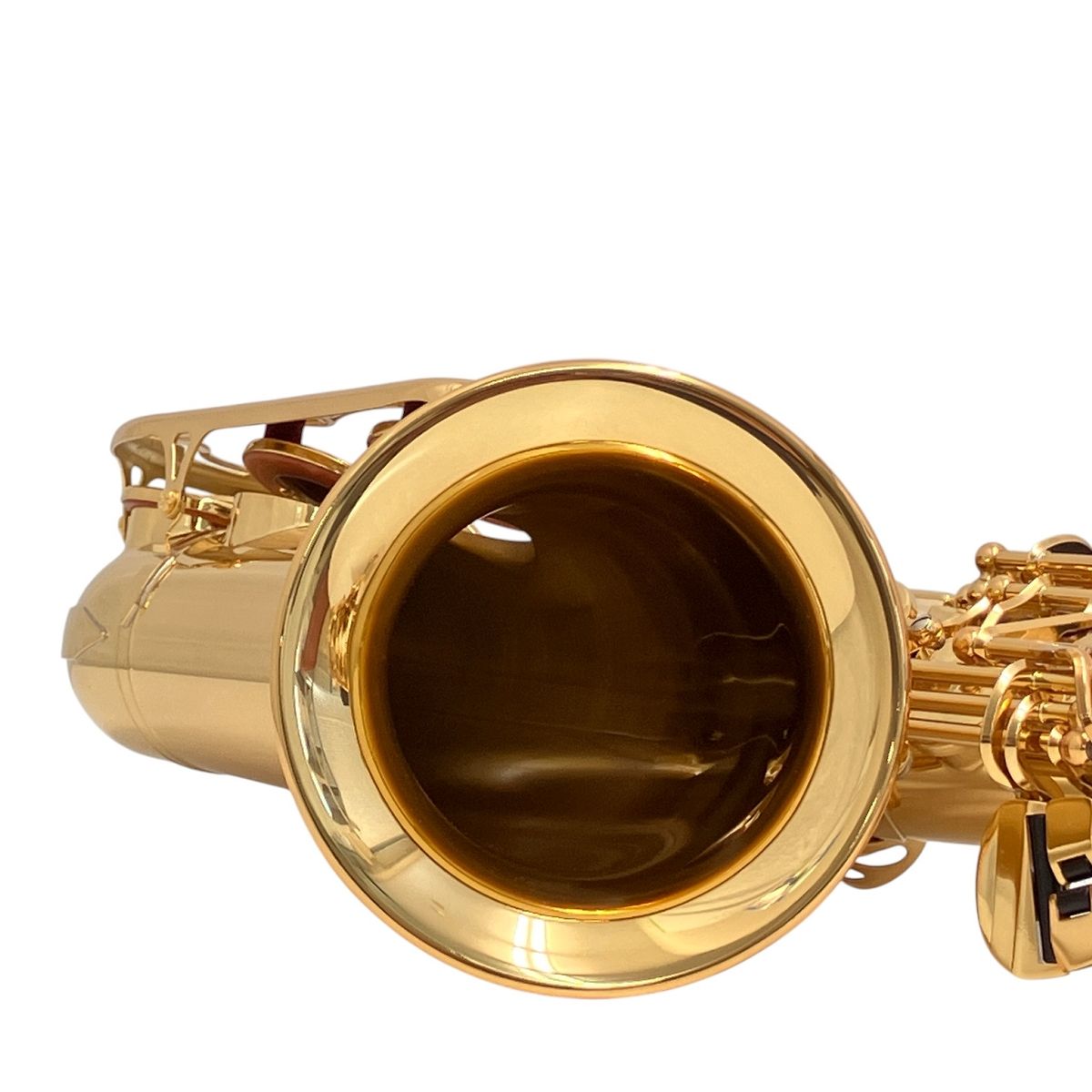 セミハードケース