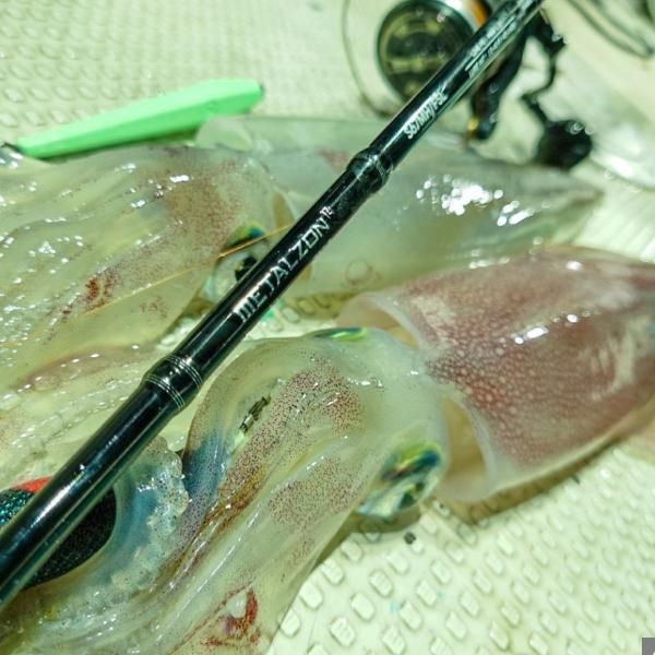 テイルウォーク メタルゾン TZ C610L-N/SL （2024年 3月新製品