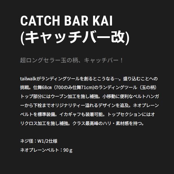 テイルウォーク キャッチバー改 550 5 m