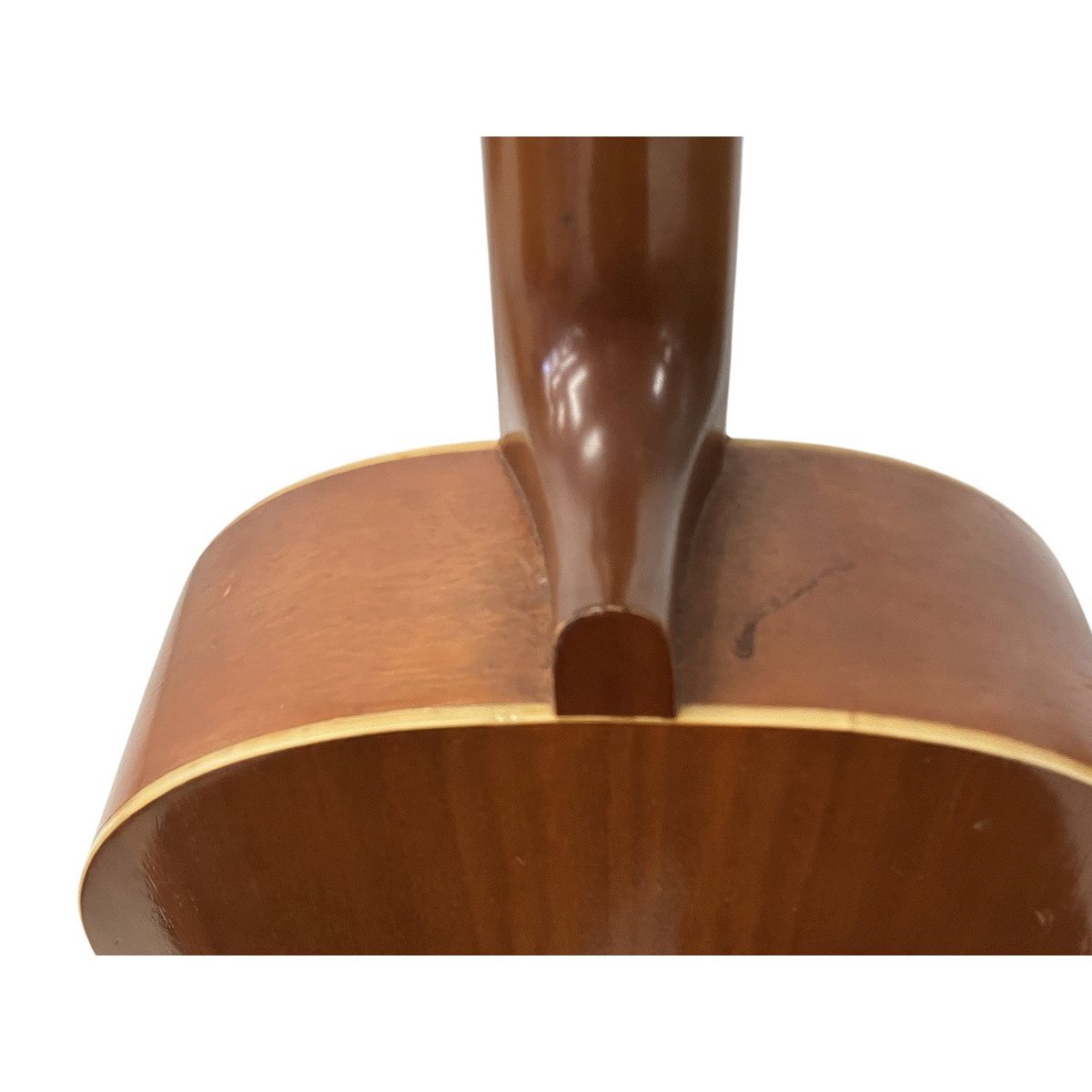 117 クロヤナギギター