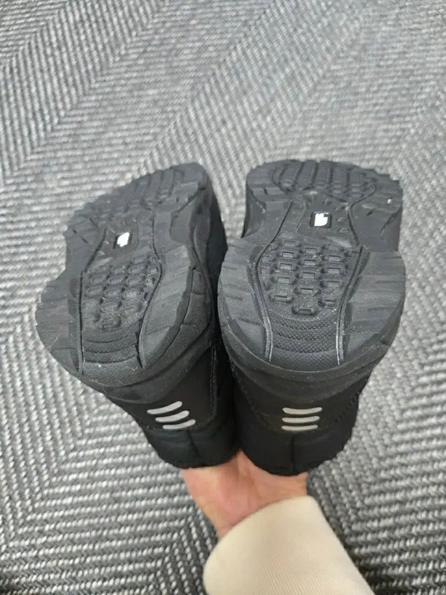 FACE ザノースフェイス