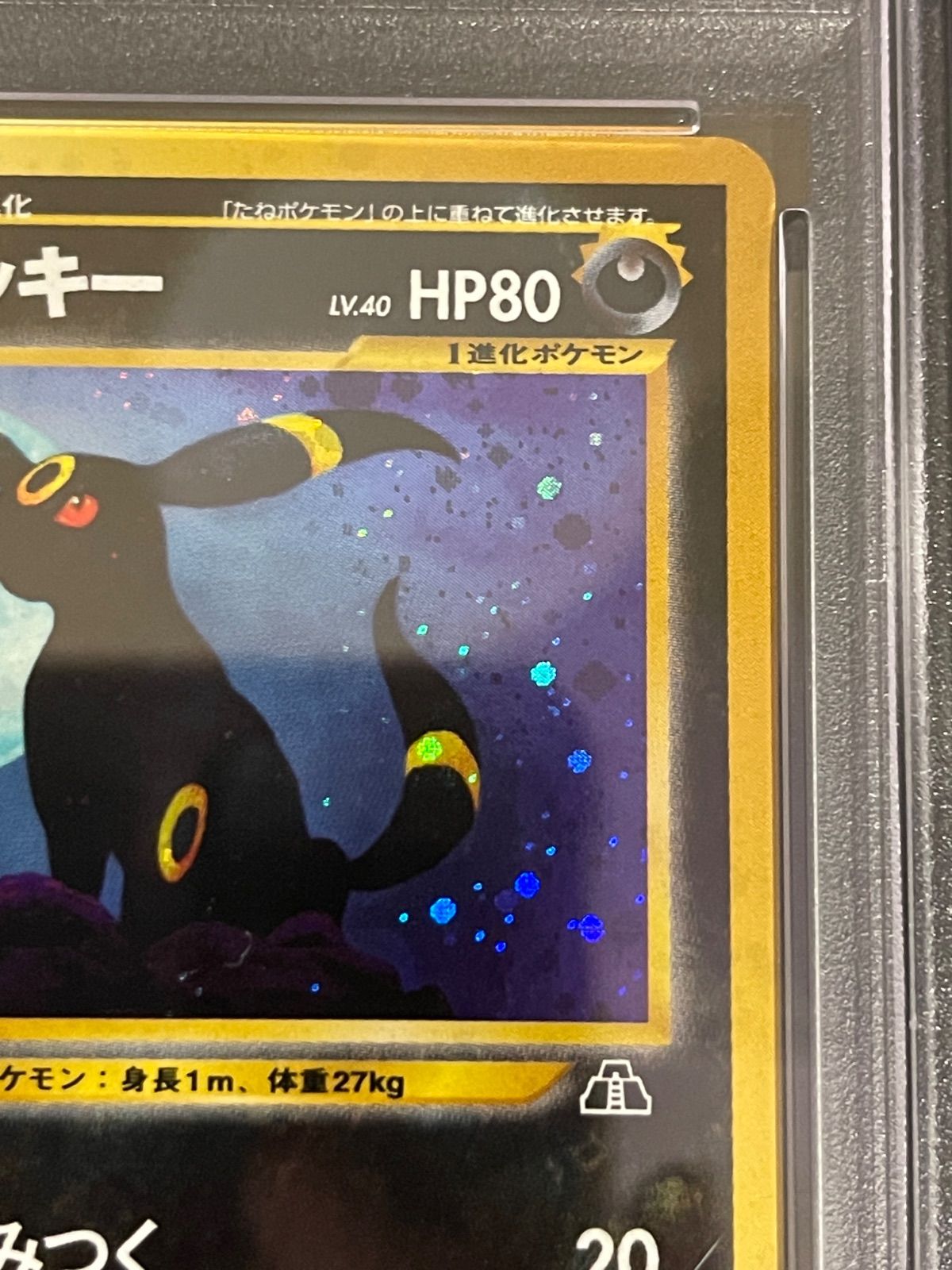 ポケモンカード 2000年 遺跡をこえて…ブラッキー 旧裏 PSA7鑑定品