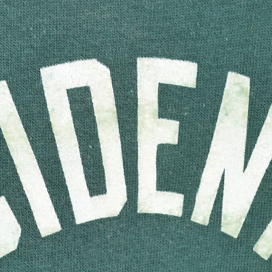 アーチロゴ 脇ガゼット