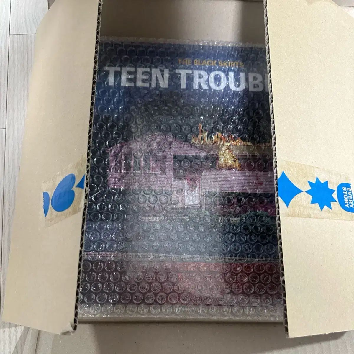 The Black Skirts コムジョンチマ 着色 Teen Troubles LP ヴァイナル ビニールレコード