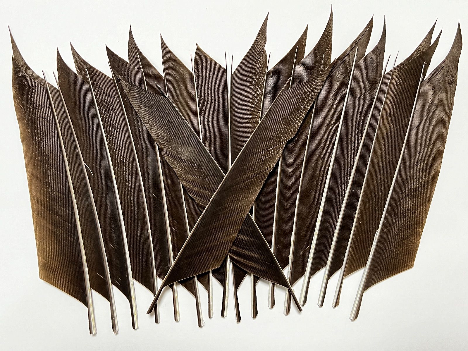  弓道 mametaroさまオーダー矢 その他 武道 格闘技