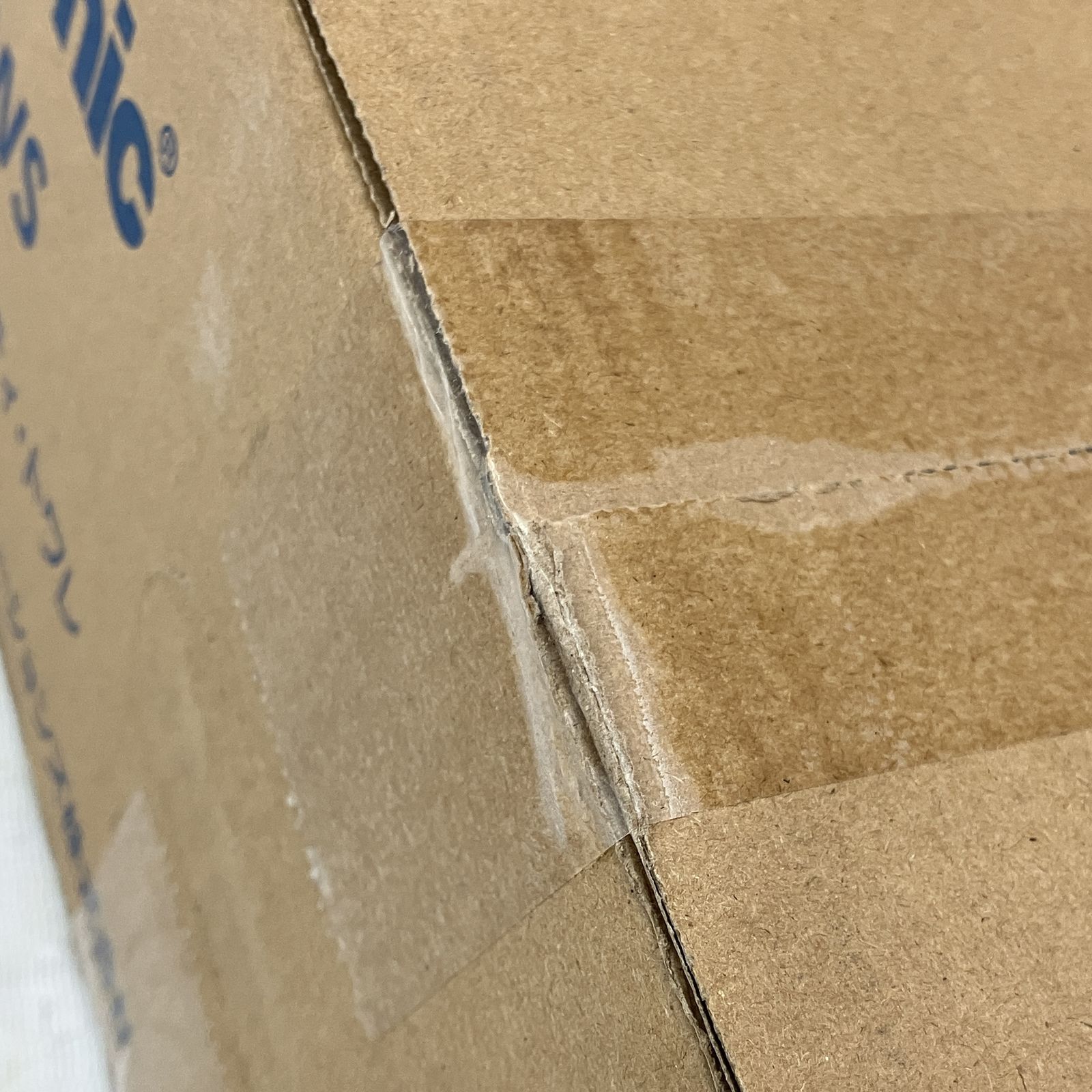 ビューティ トワレ