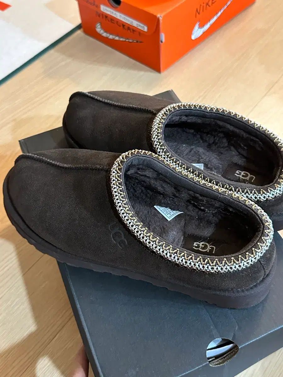 タスマン ブラウン