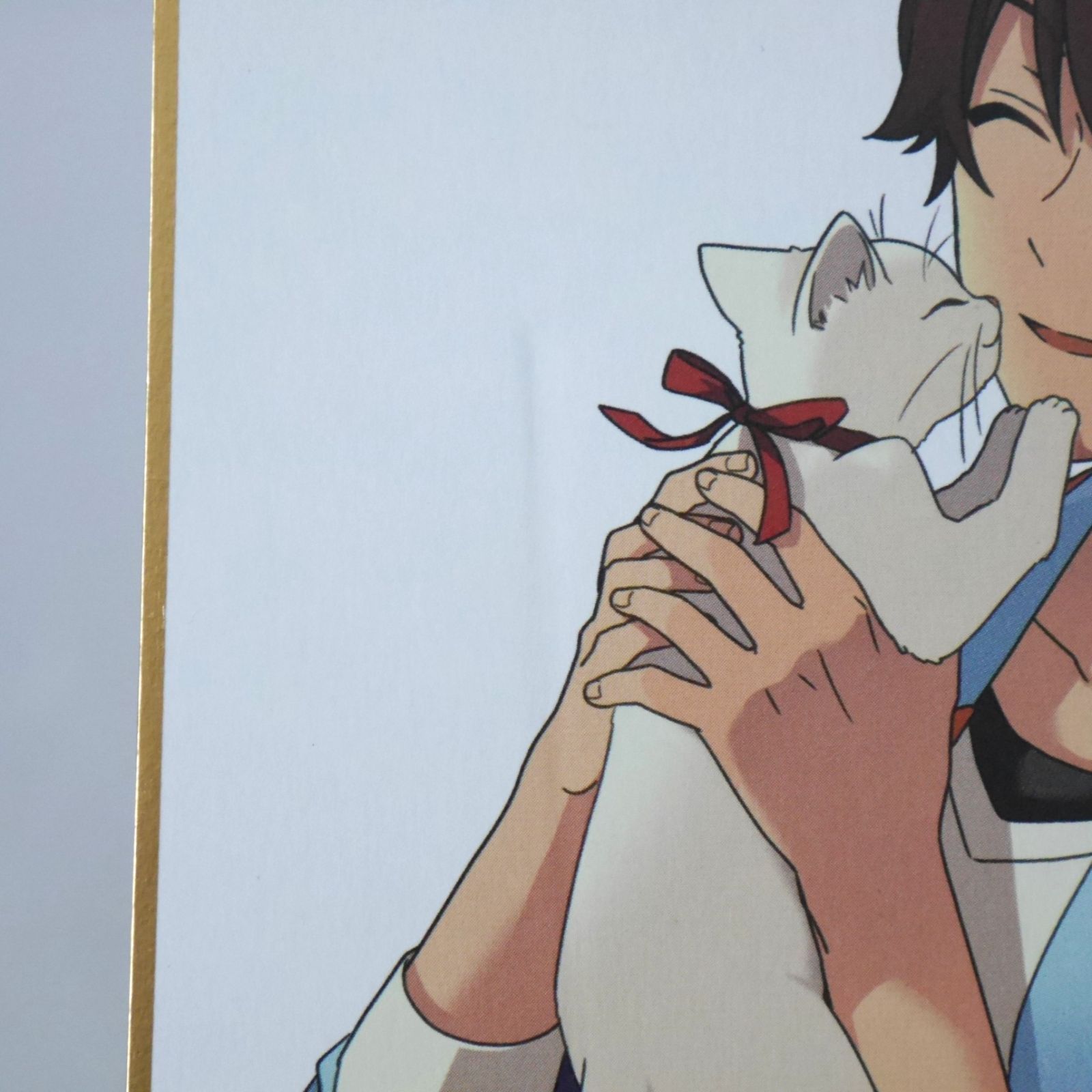 あんさんぶるスターズ! ビジュアル色紙コレクション 