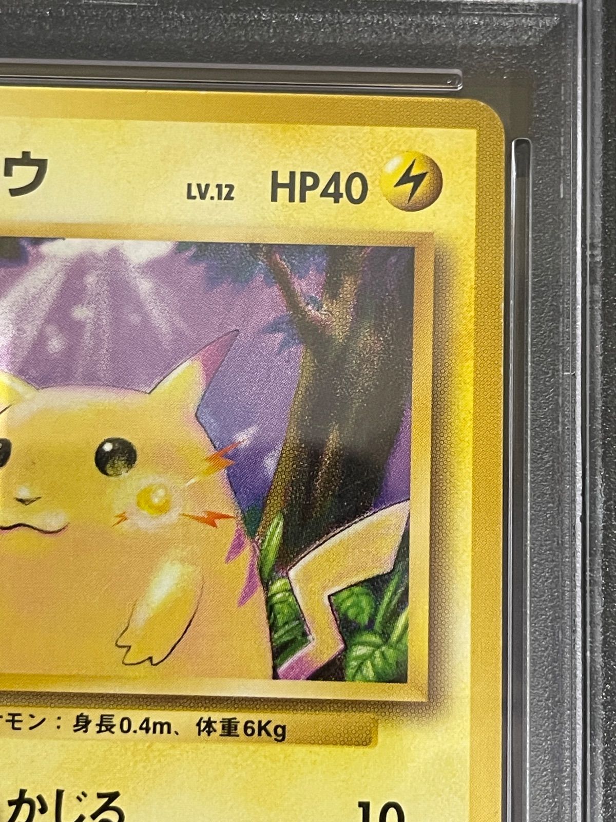 ポケモンカード　ピカチュウ　旧裏　マークなし　初版　⑤ ピカチュウ 初版・マークなし 旧裏 1枚の通販 たーし（556718576） | magi