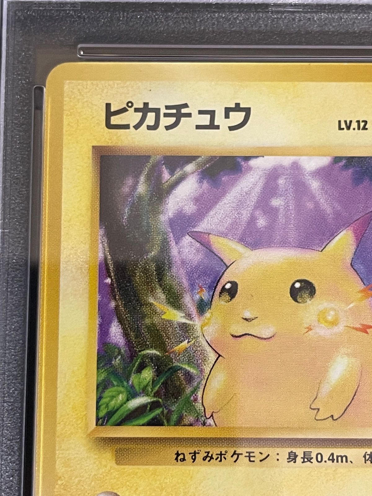 ポケモンカード 1996年 ピカチュウ 初版 マークなし 旧裏 PSA8鑑定品