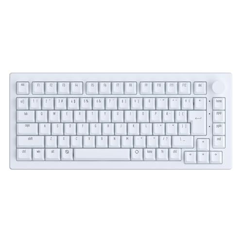 新品】【国内正規品】Akko(アッコ) ラピッドトリガー 8000Hz