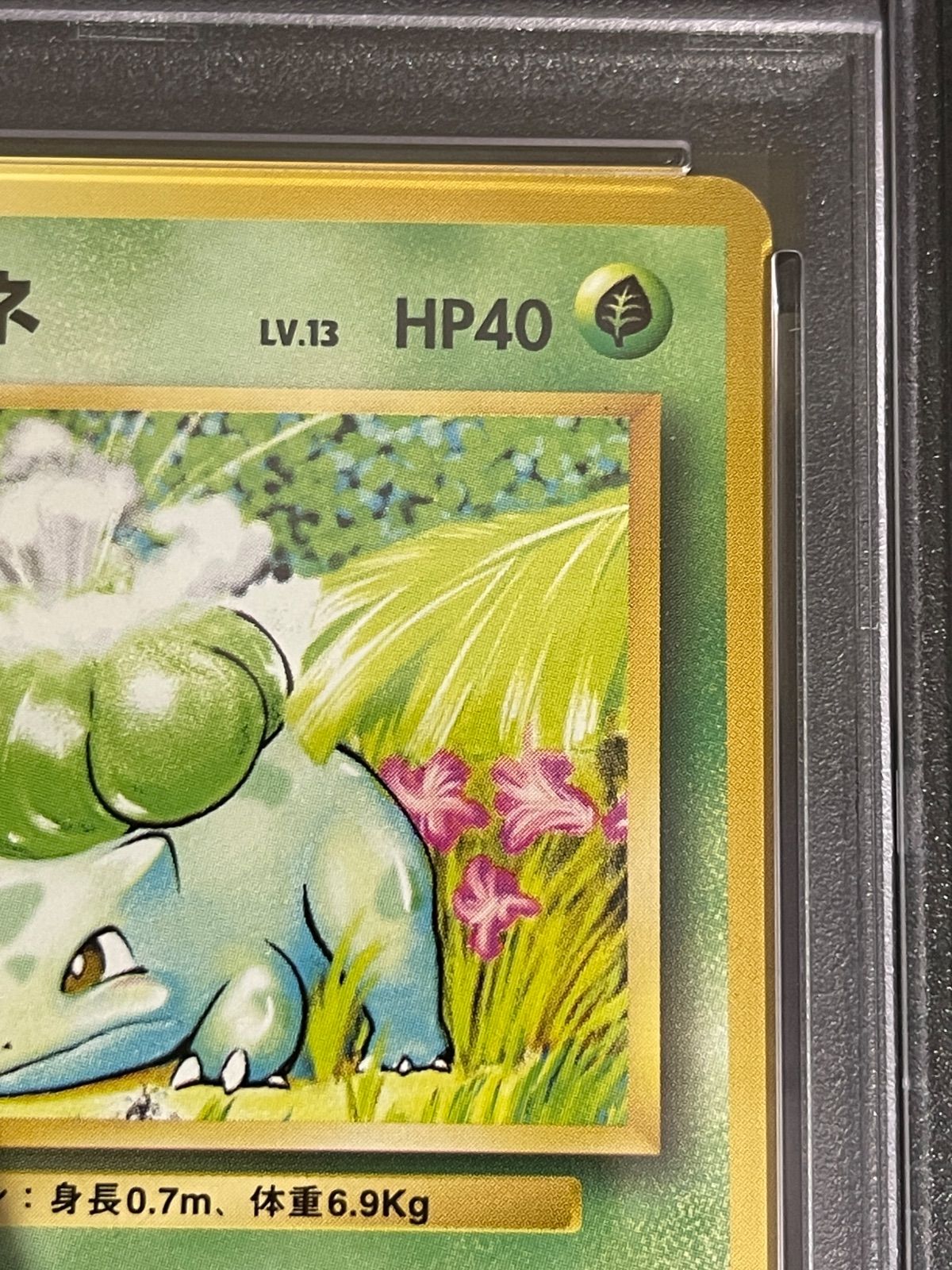 ARS9 フシギダネ 初版　1996年 ノーレアリティ ARS9 フシギダネ 初版1996年 ノーレアリティ