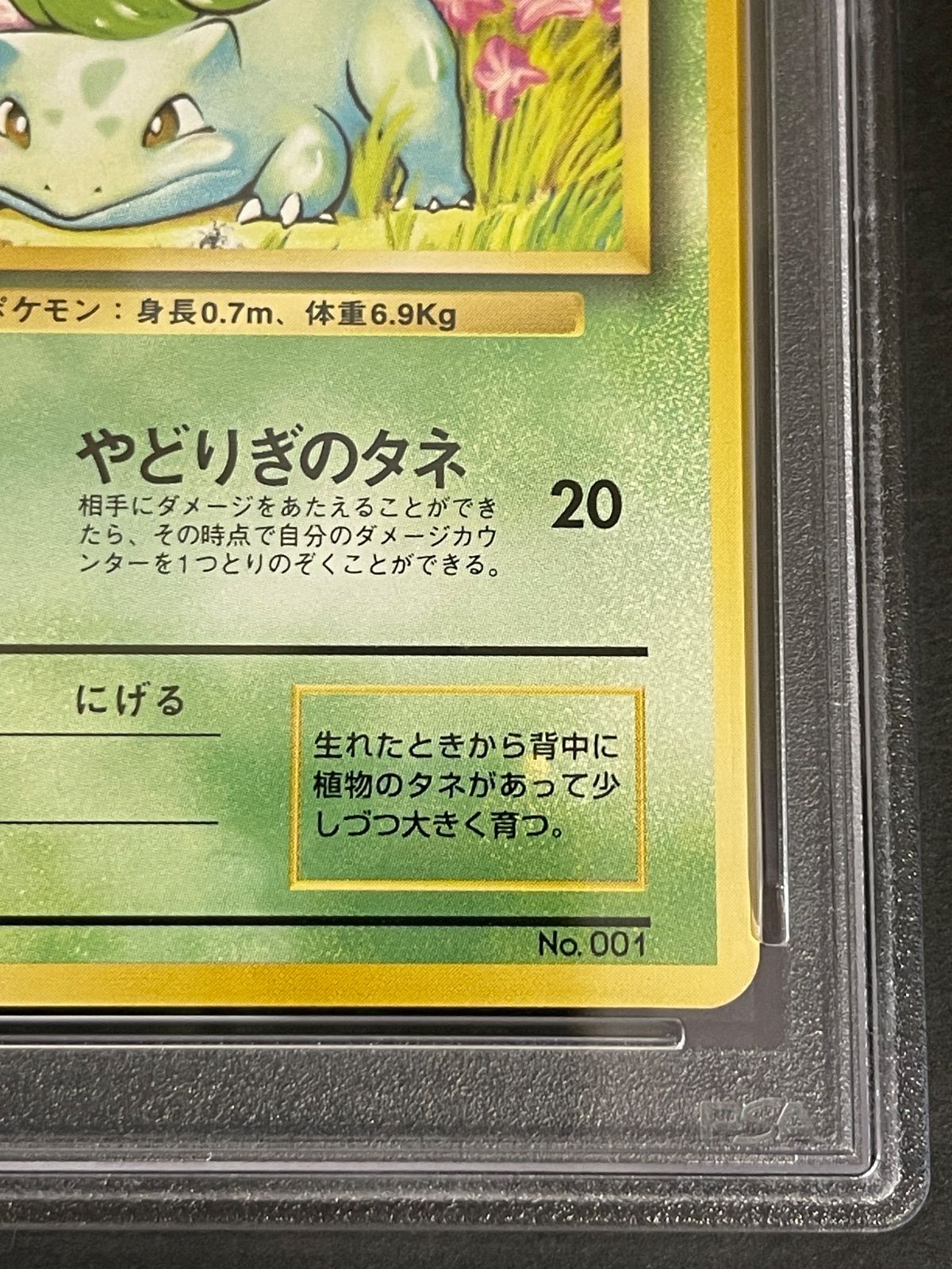 ポケモンカード 1996年 フシギダネ 初版 マークなし 旧裏 PSA9鑑定品