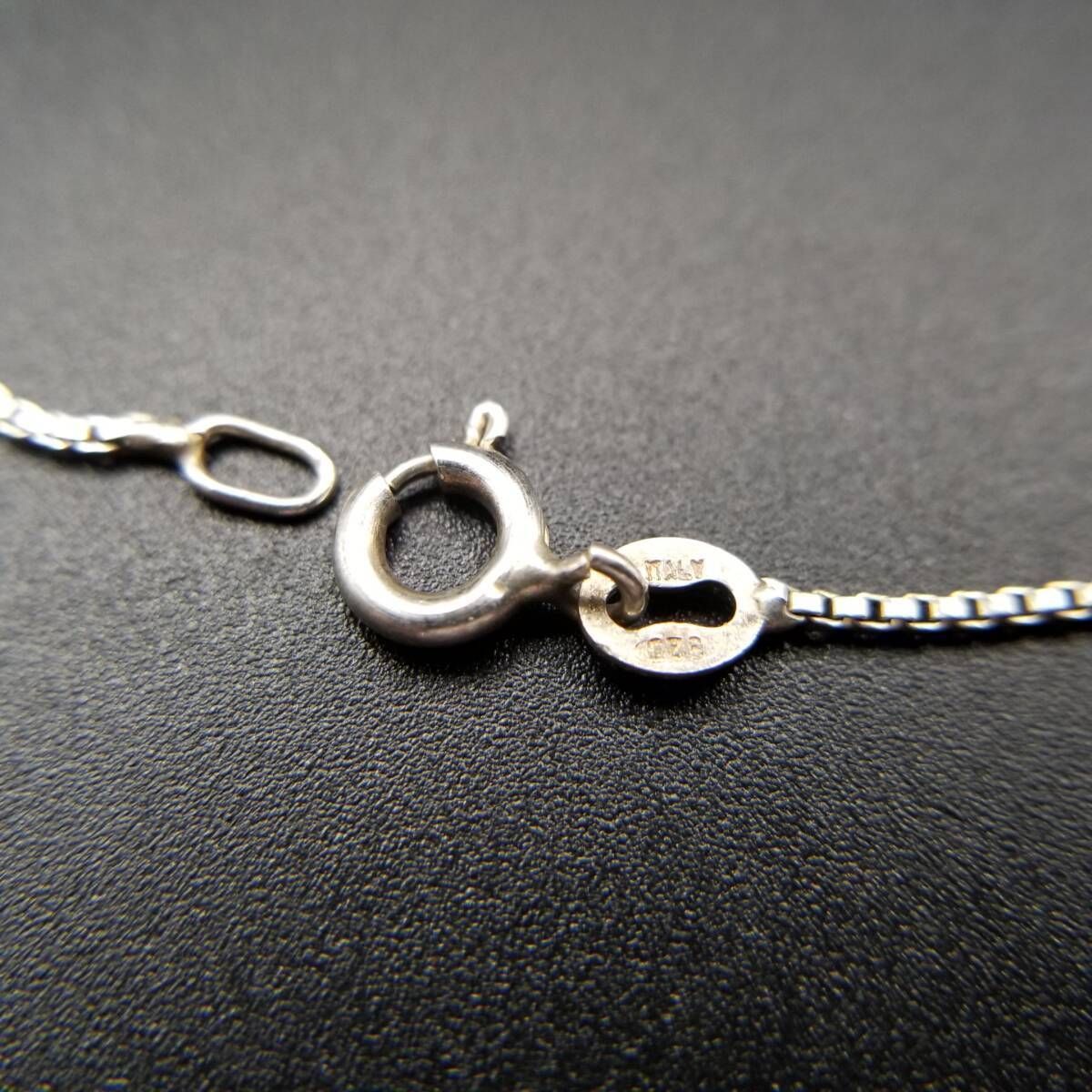 イルカ ドルフィン