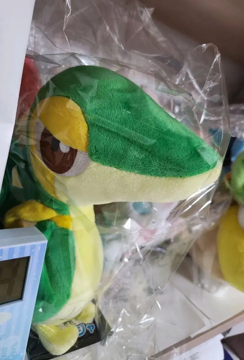 日本ポケモンセンター ヌイグルミ ジュカイン オリジナル ぬいぐるみ