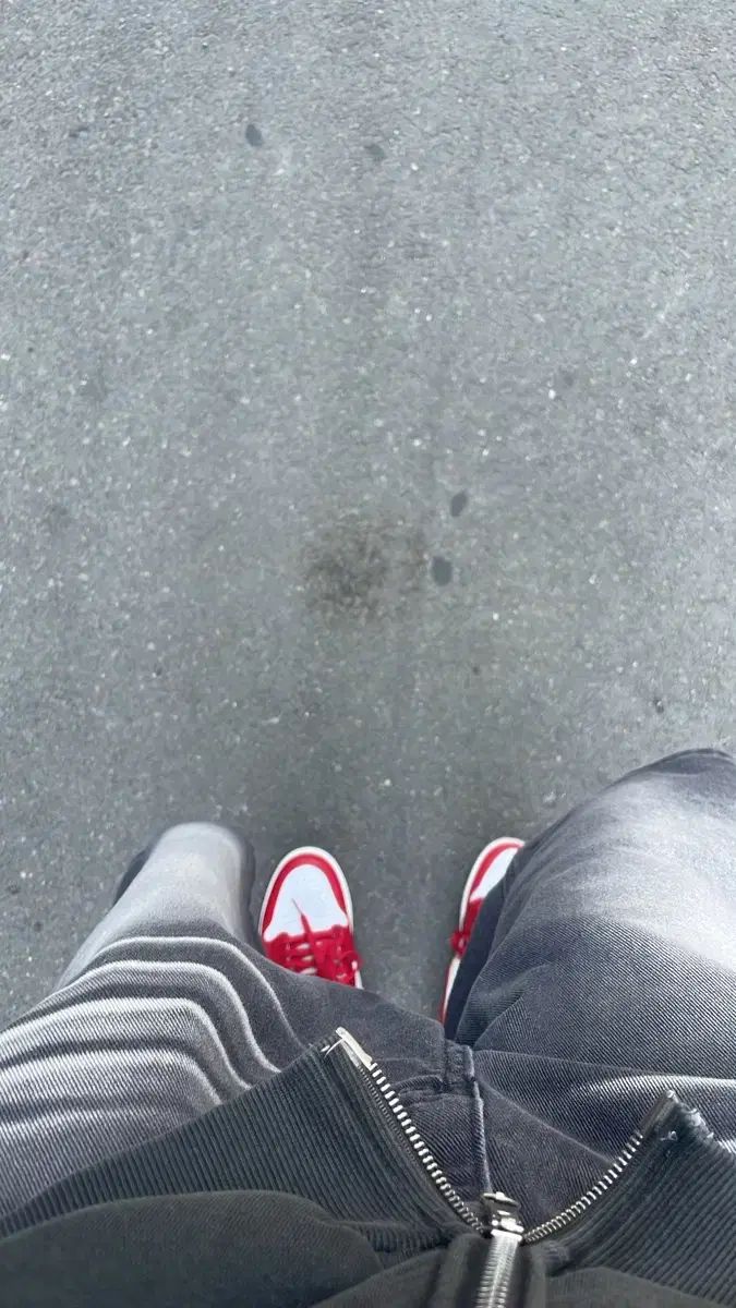 ジョーダン レトロ ハイ OG スタジャン レッド