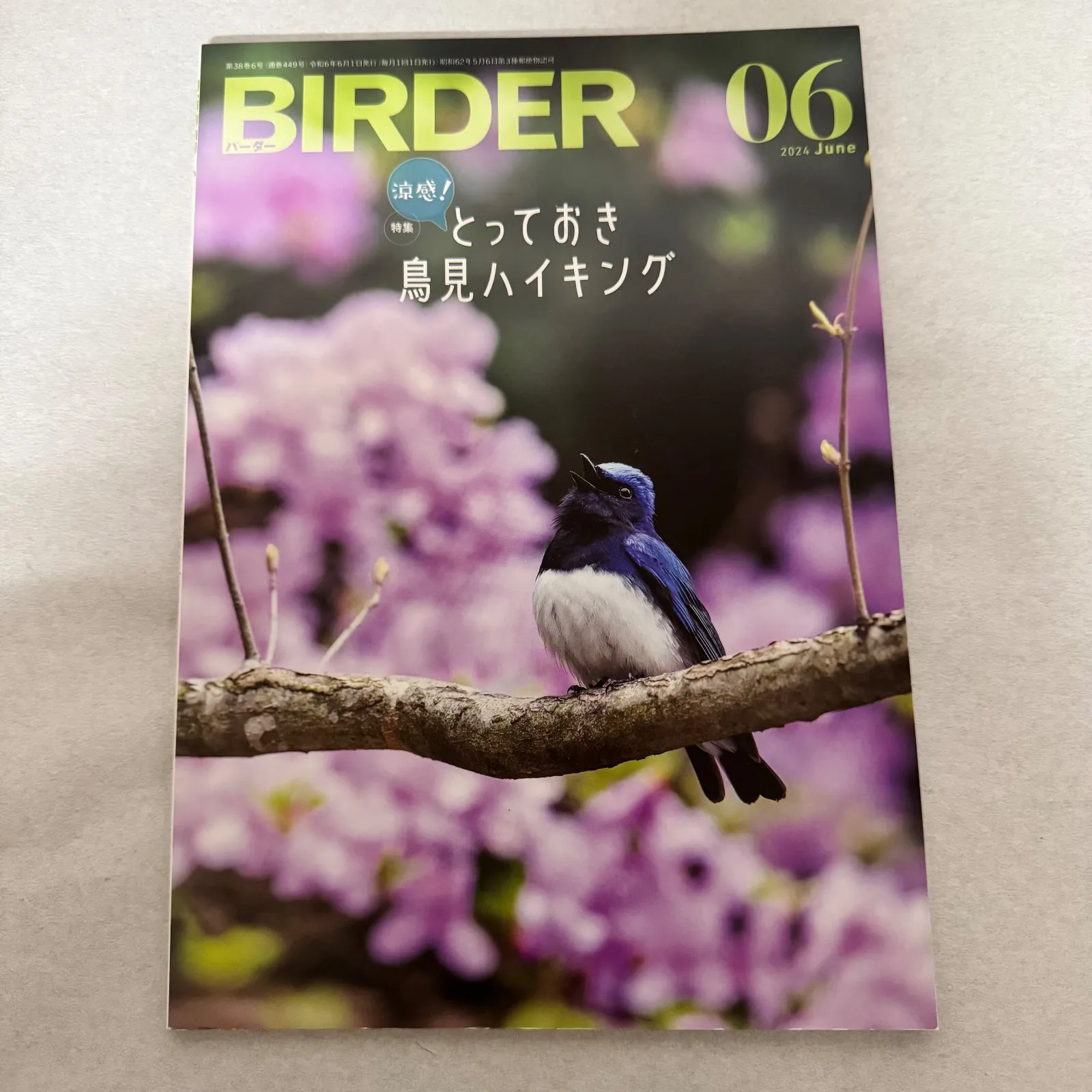 2026年最新】birder バーダーの人気アイテム - メルカリ