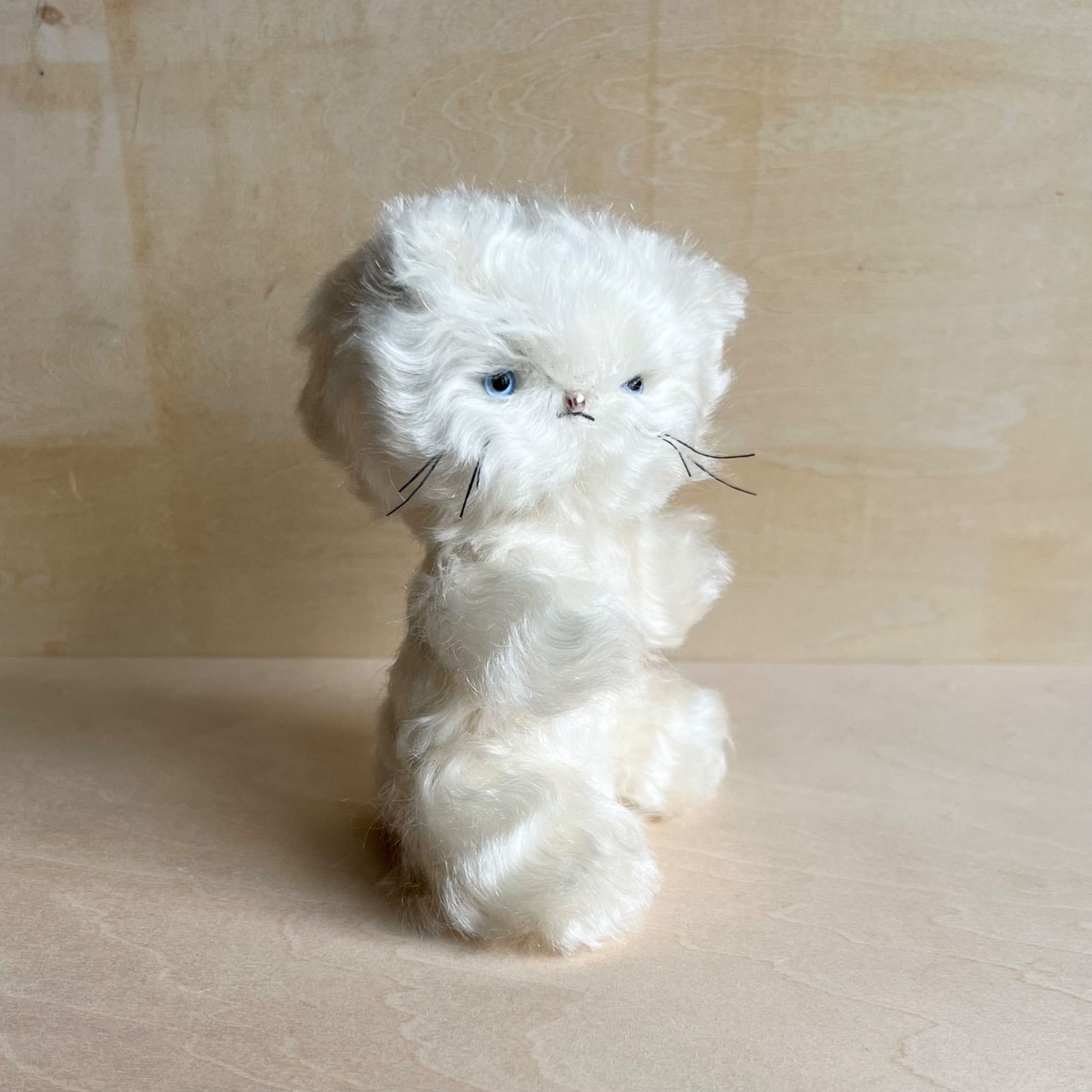 Cora 「 きみの こねこちゃん 」 holiday cat / blue eye ハンドメイド