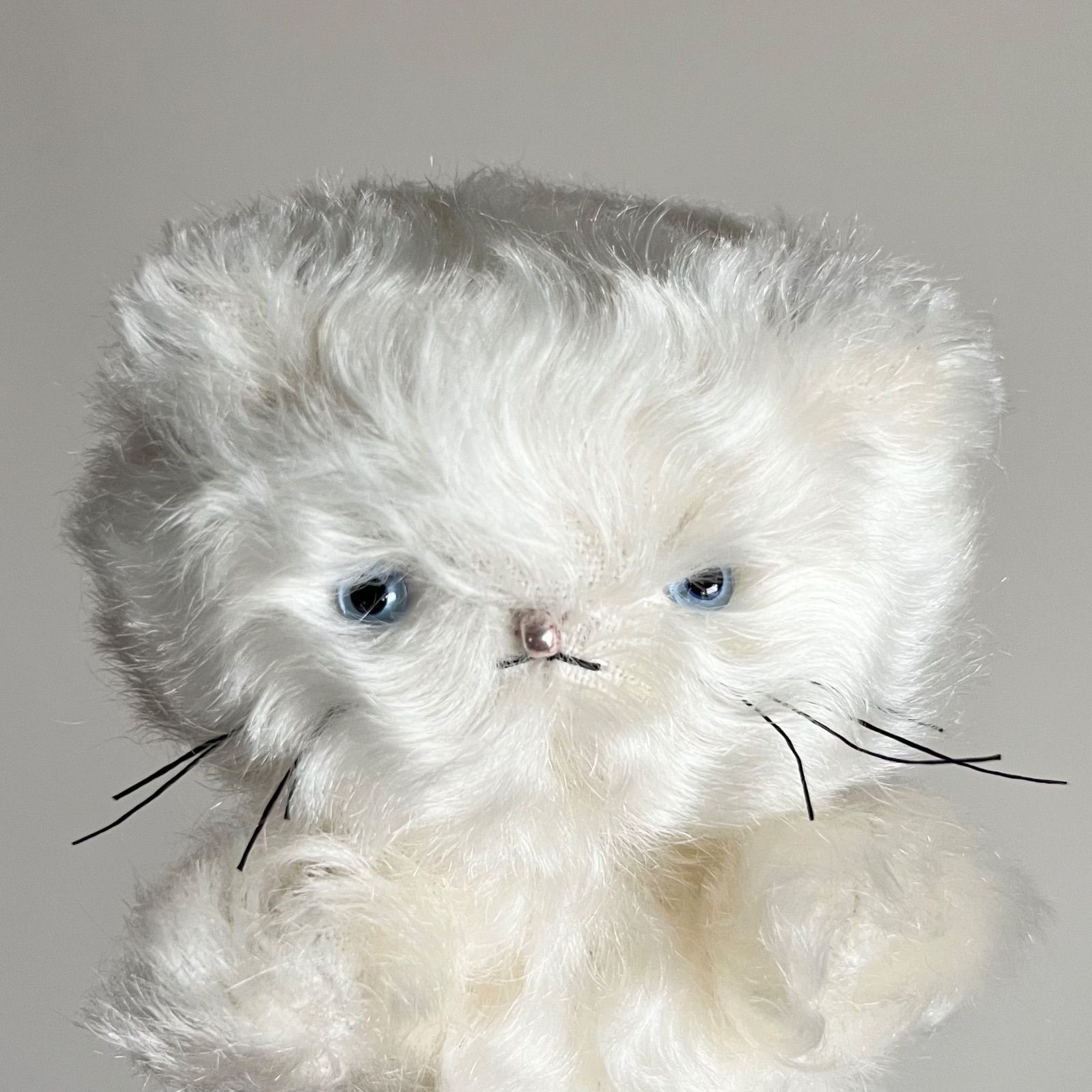 Cora 「 きみの こねこちゃん 」 holiday cat / blue eye ハンドメイド